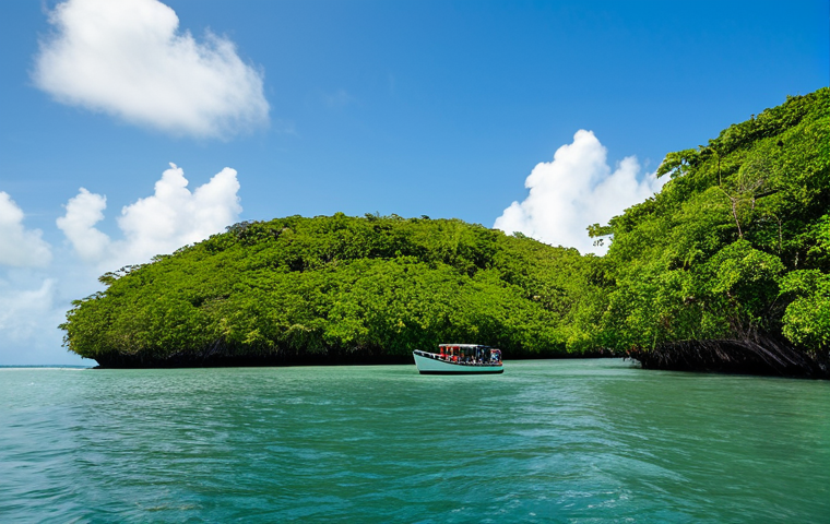 아이티에서 경험할 수 있는 자연 체험 활동 - "A traveler, fully clothed in hiking gear, stands in awe before the El Limon waterfall in Samana, Do... 아이티에서 경험할 수 있는 자연 체험 활동 - "A traveler, fully clothed in hiking gear, stands in awe before the El Limon waterfall in Samana, Do...