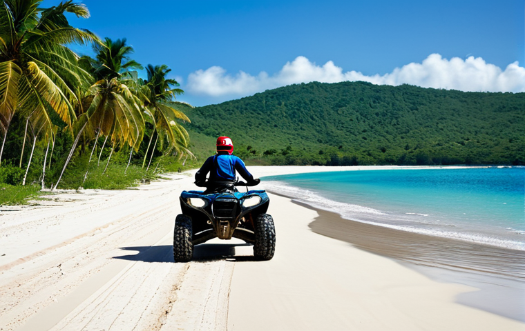 아이티에서 경험할 수 있는 자연 체험 활동 - "A boat gently navigates through the mangrove forests of Los Haitises National Park, Dominican Repub... 아이티에서 경험할 수 있는 자연 체험 활동 - "A boat gently navigates through the mangrove forests of Los Haitises National Park, Dominican Repub...